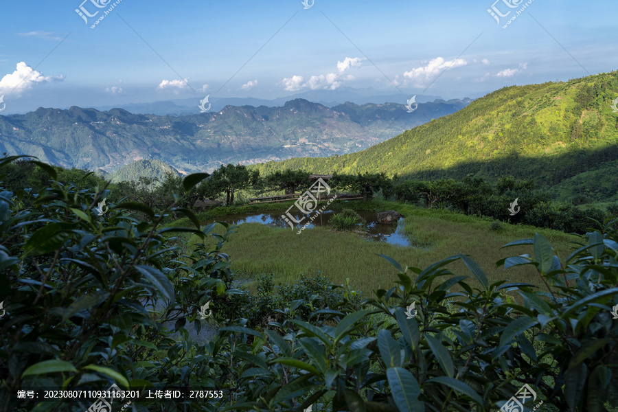 麻栗坡茶坪山