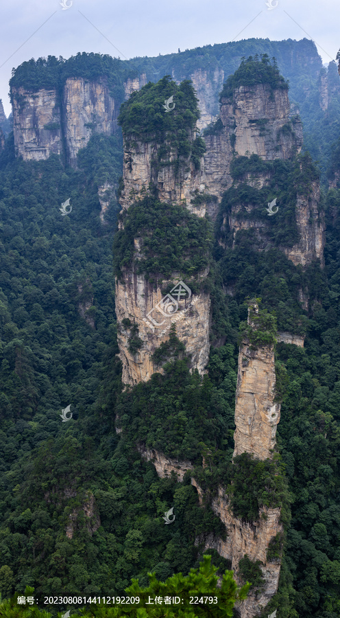 袁家界纵向全景图