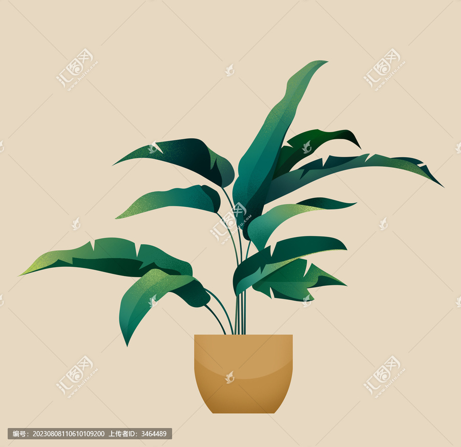 扁平植物插畫