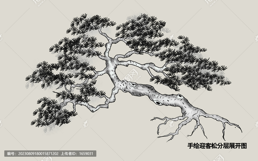 迎客松