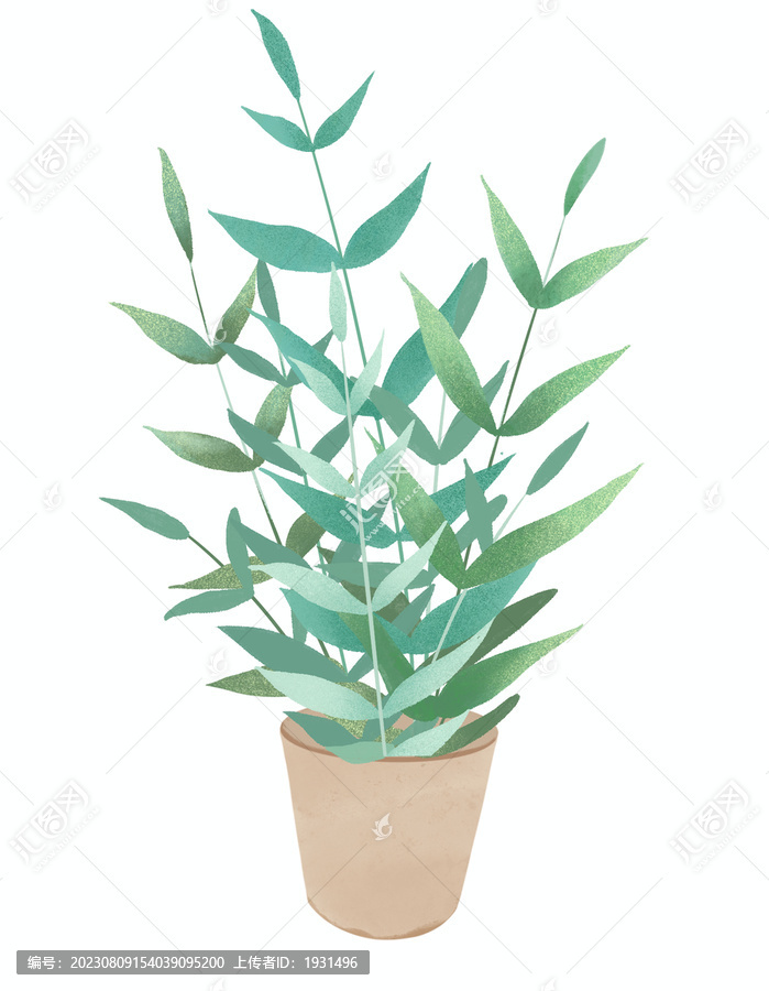 盆栽綠植