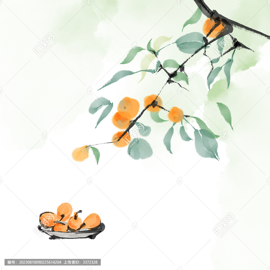 琵琶樹(shù)枝