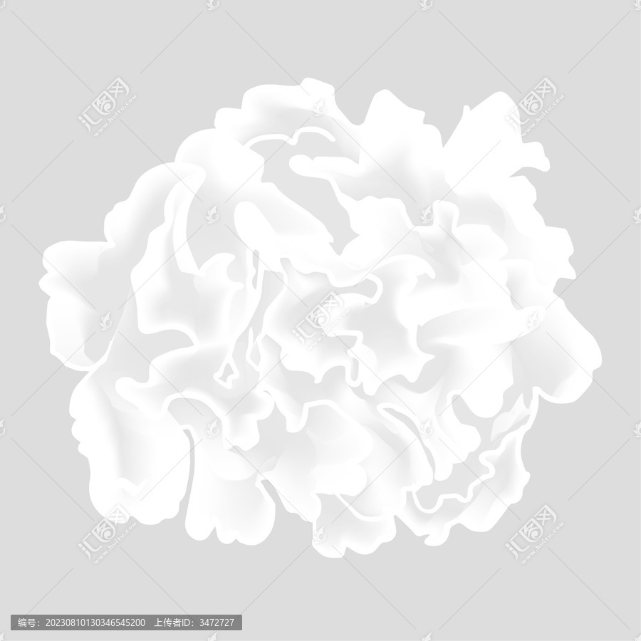 銀耳矢量插畫