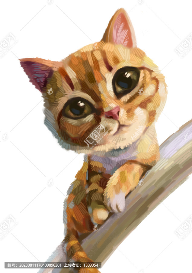 貓咪插畫