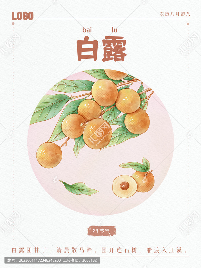 24節(jié)氣秋季白露龍眼