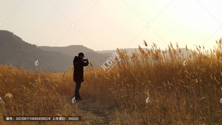 邙山落日