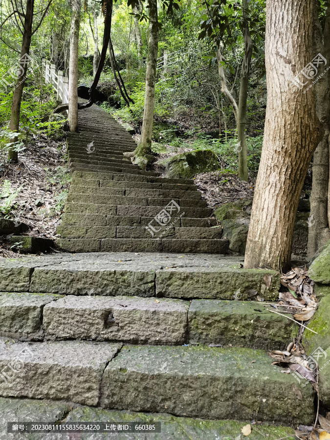 山间台阶