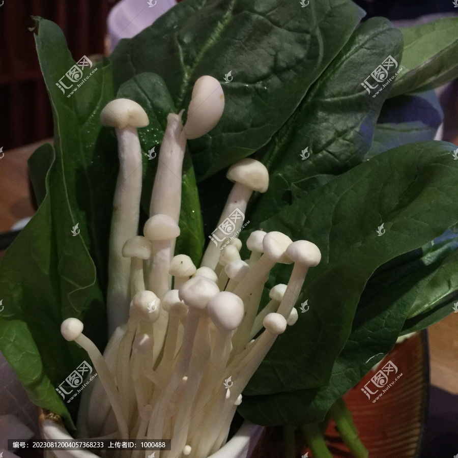 日料金針菇