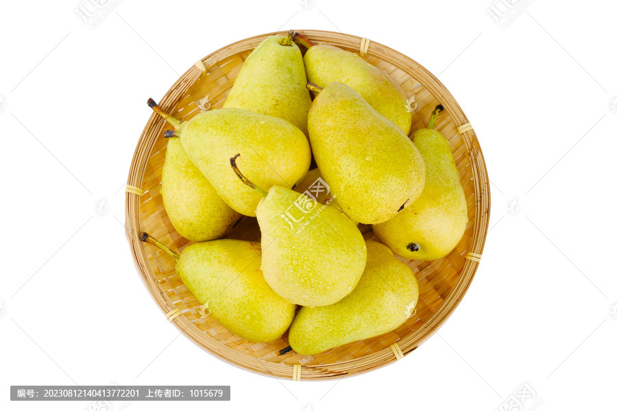 太婆梨