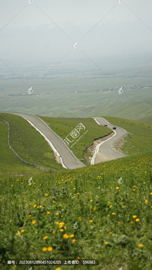 新疆阿克斯塔花海草原