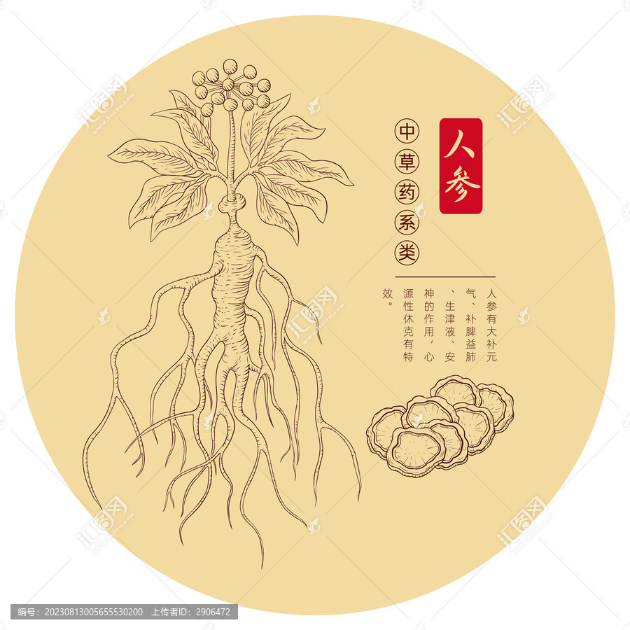 人參版畫手繪白描