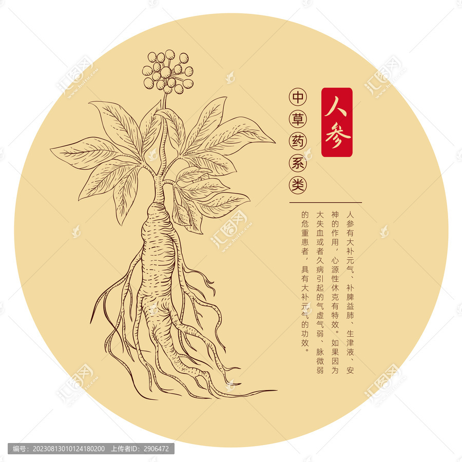 人參手繪版畫