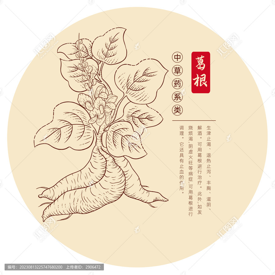 葛根插畫版畫白描