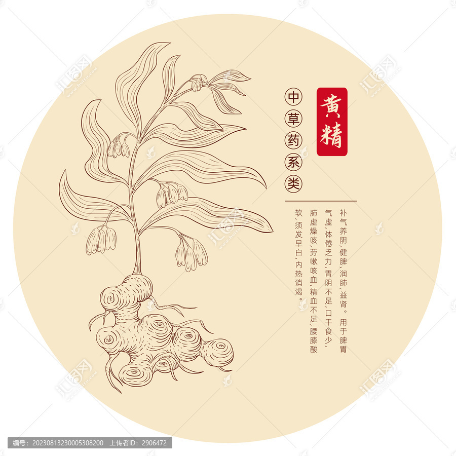 黃精插畫版畫白描