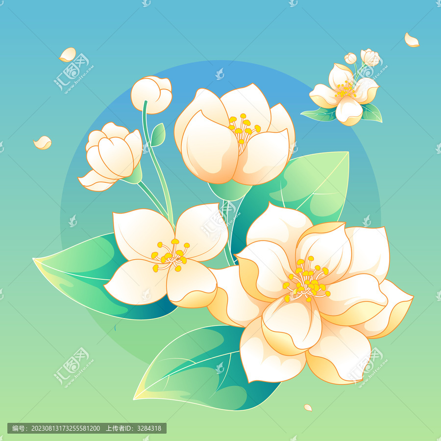 茉莉花矢量