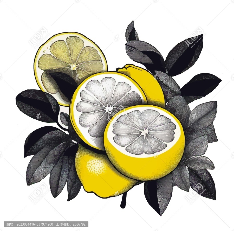 復古檸檬矢量素材
