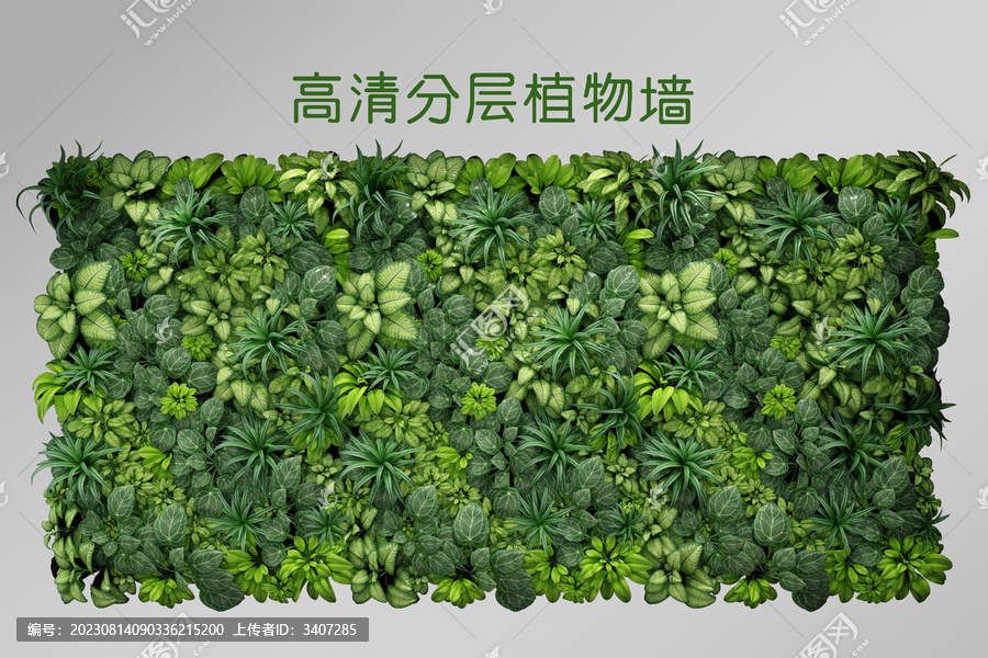 分層植物墻