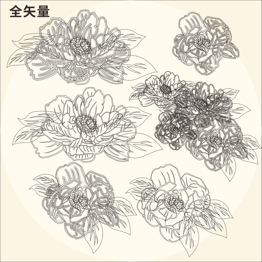 牡丹花
