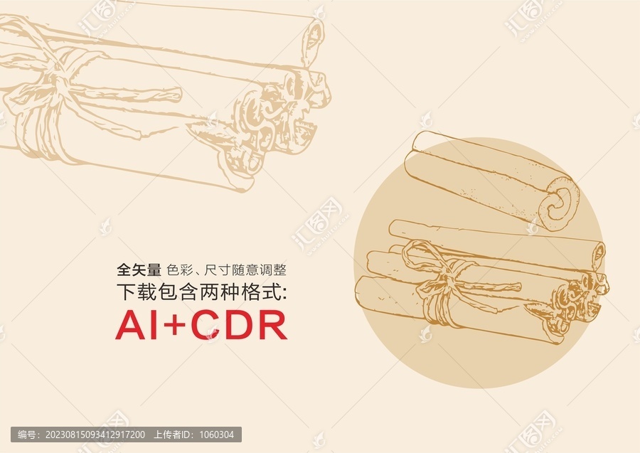 桂皮手绘桂皮插图矢量桂皮