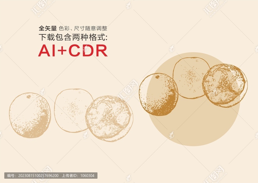 羅漢果手繪羅漢果插畫