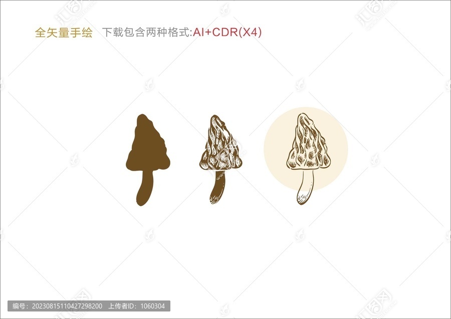羊肚菌手繪羊肚菌插畫