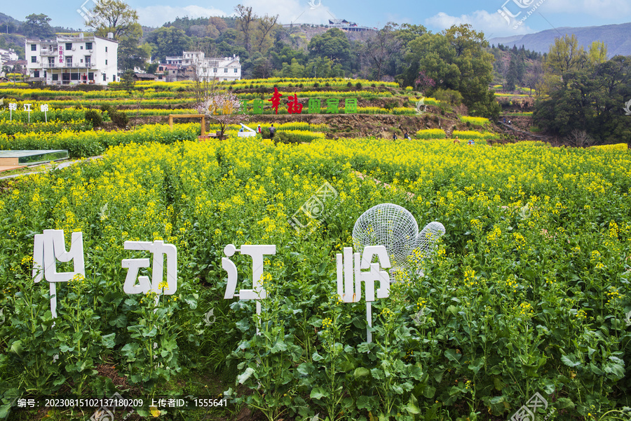 婺源江岭