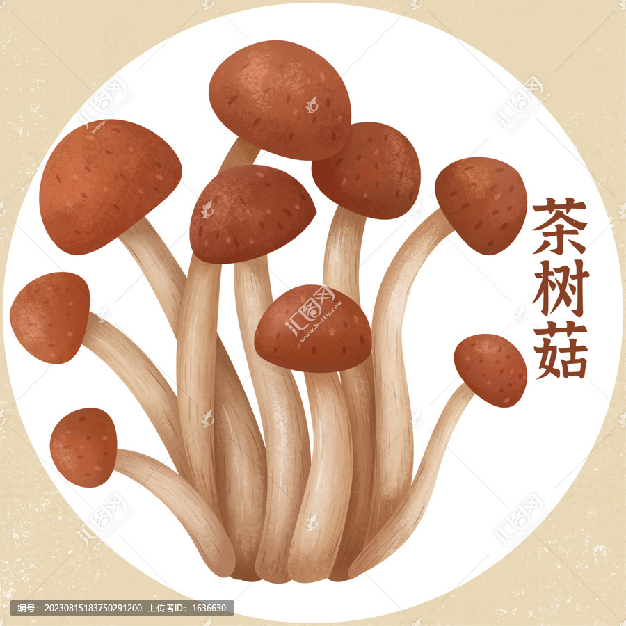 山珍茶樹菇