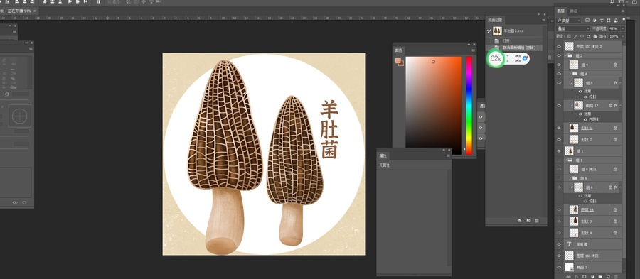 山珍羊肚菌