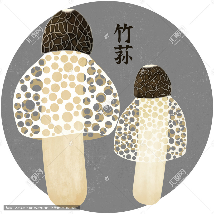 山珍竹蓀