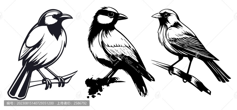 小鳥麻雀勞伯鳥矢量