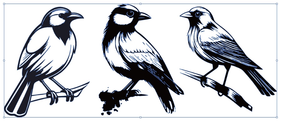 小鳥麻雀勞伯鳥矢量