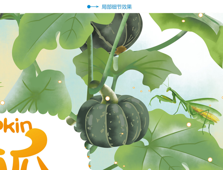 貝貝南瓜包裝