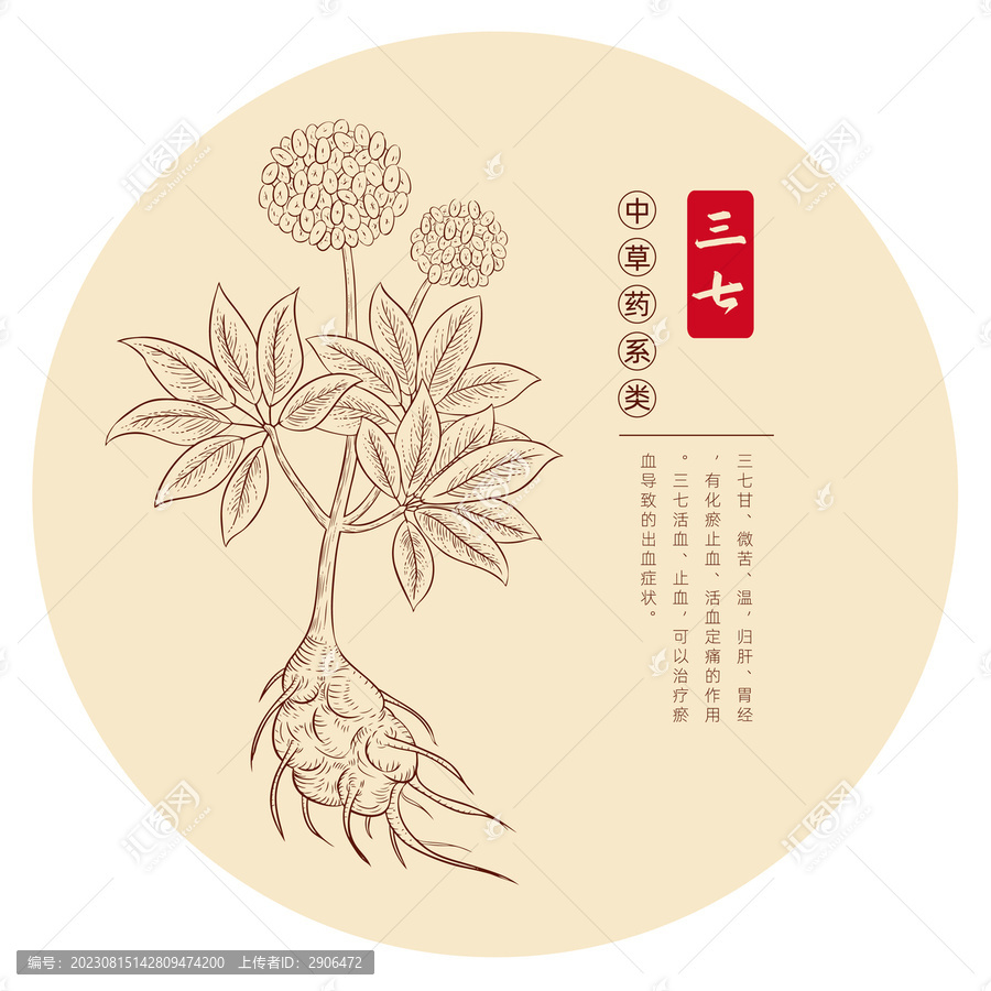 三七插畫版畫白描
