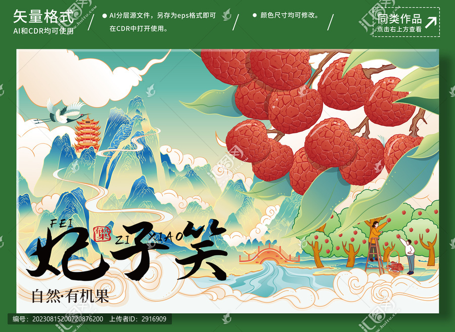 荔枝插畫