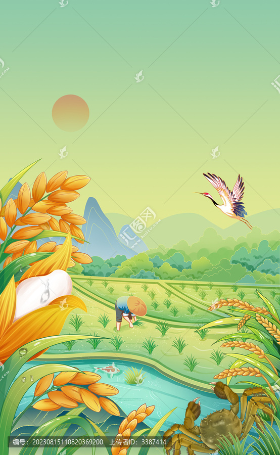 國風(fēng)蟹田大米手繪插畫包裝