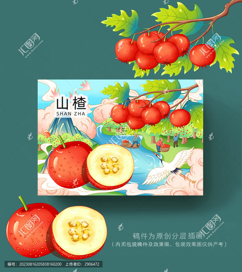 山楂插畫手繪包裝