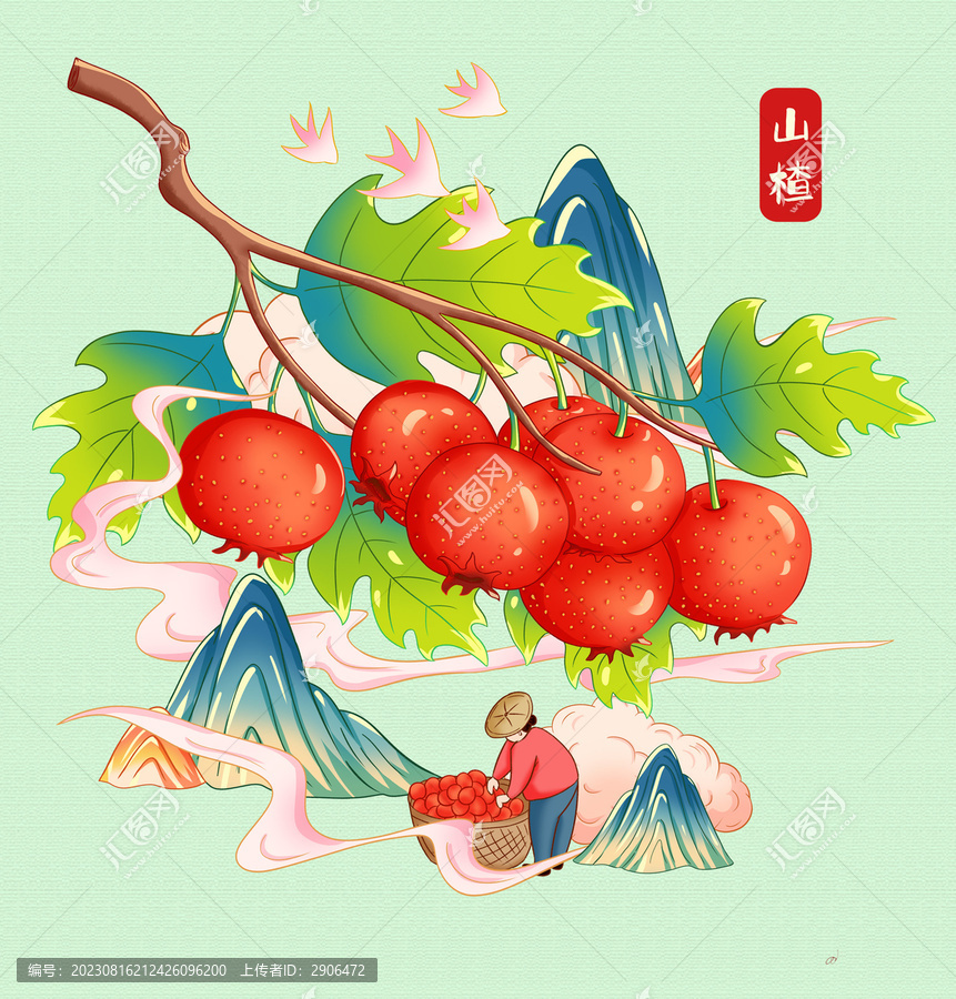 山楂插畫手繪