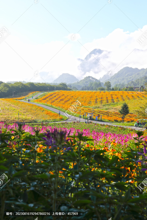 高山自然风光