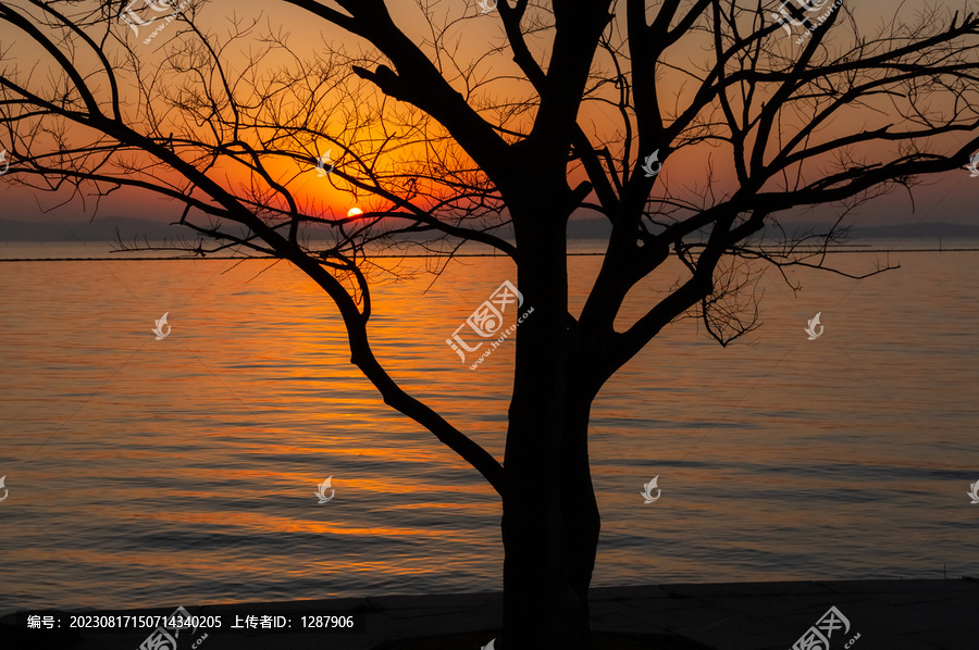 太湖日出