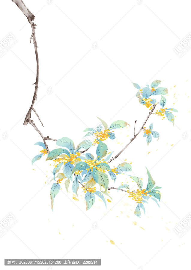 國(guó)風(fēng)插畫(huà)秋日桂花