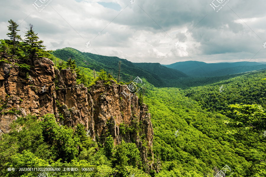 远山森林风景