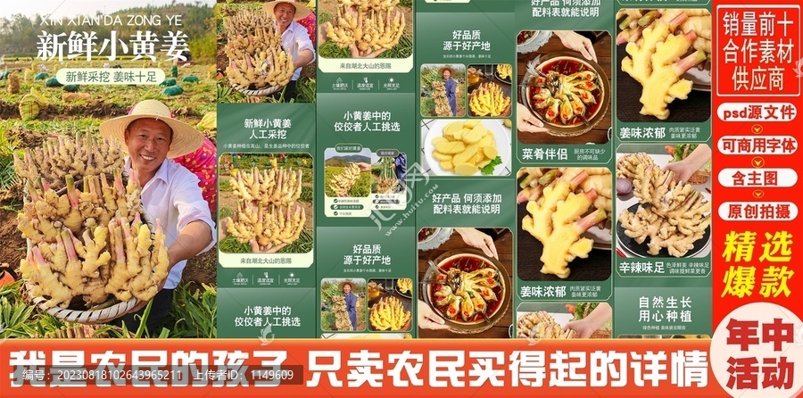 新鮮小黃姜詳情