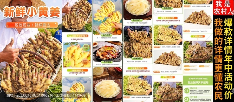 新鮮小黃姜詳情頁(yè)
