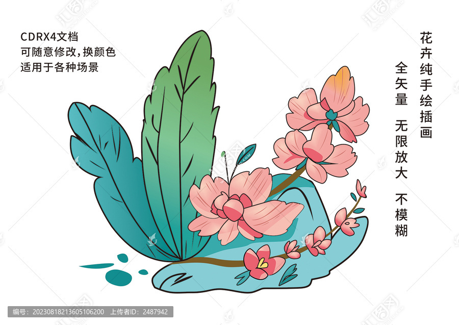 花卉插畫