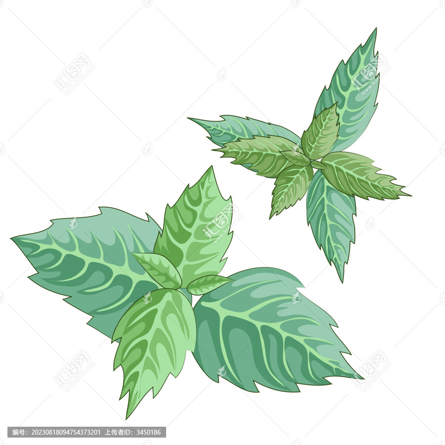 薄荷葉