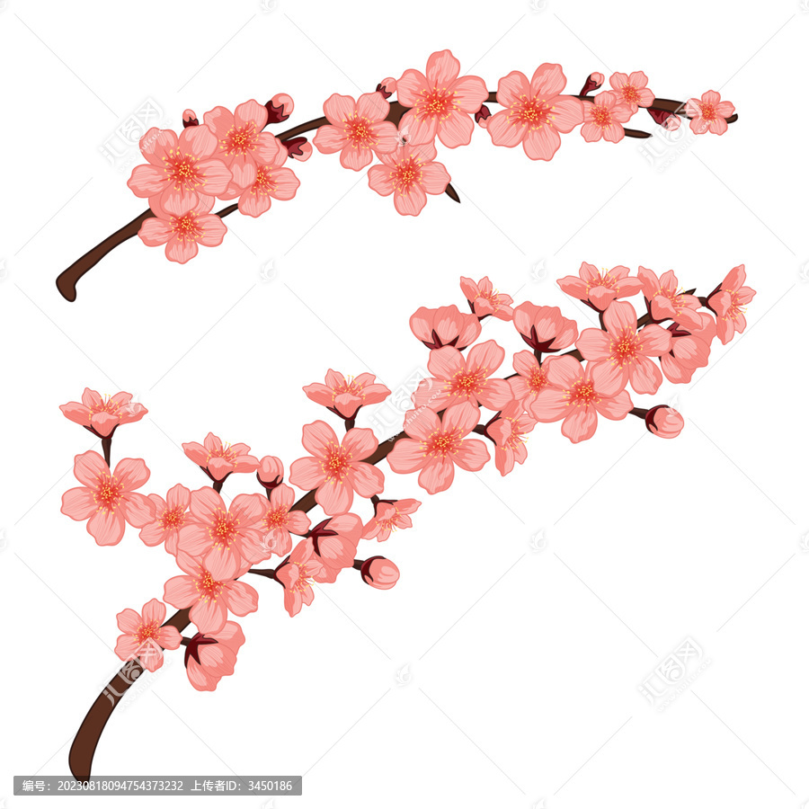 桃花櫻花