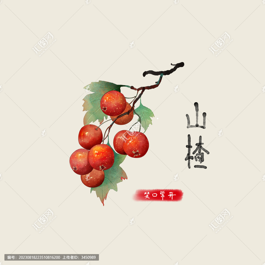山楂