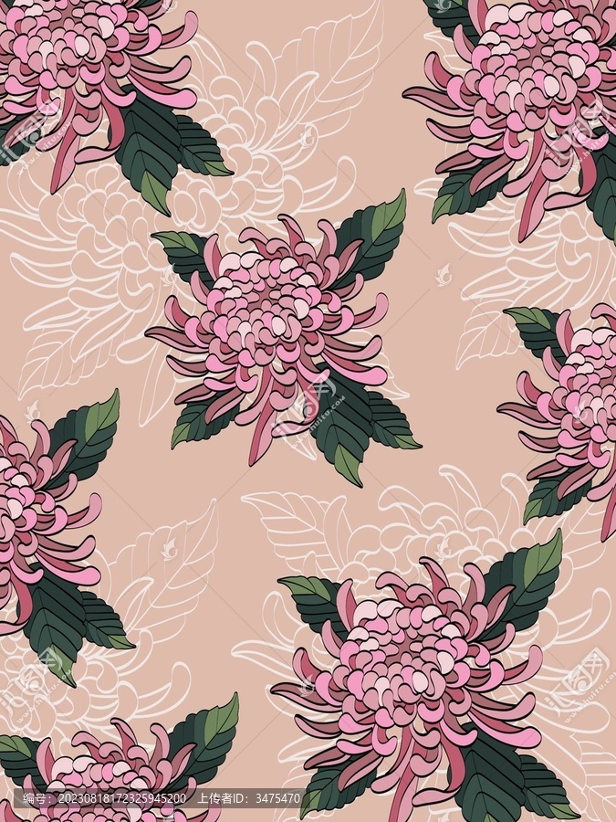 菊花卉素材