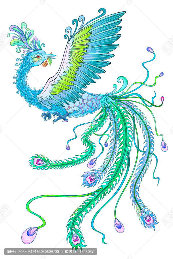 冰鳳凰翡翠鳳凰鳳凰插畫