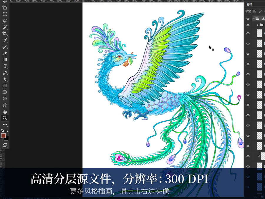 冰鳳凰翡翠鳳凰鳳凰插畫